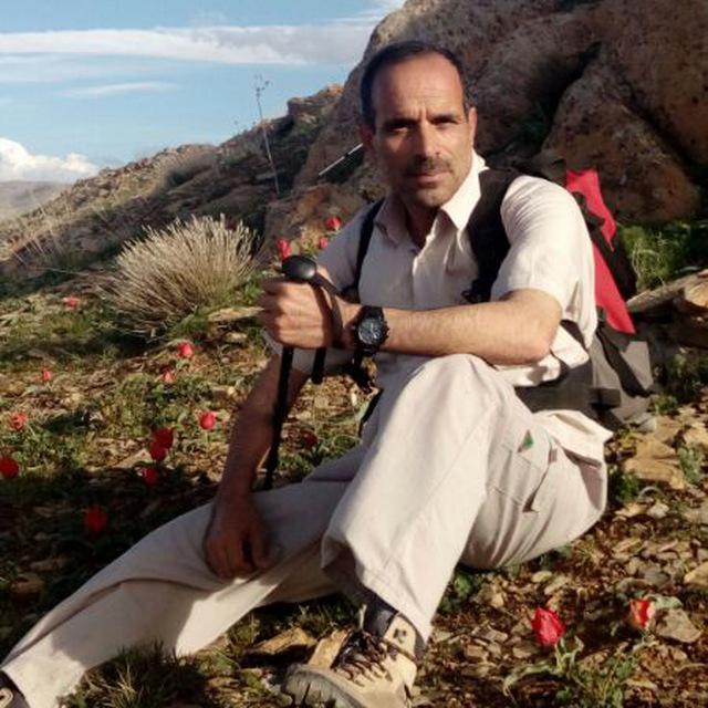 رادیو آماتور محمد پایوندی رادیو آماتور محمد پایوندی