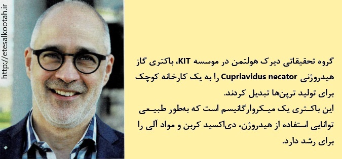 میکروارگانیسم ها مواد آلی با ارزش افزوده بالا تولید می کنند میکروارگانیسم ها مواد آلی با ارزش افزوده بالا تولید می کنند