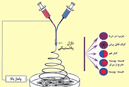 فرآیند الکتروریسی دو جزیی به همراه چگونگی سطح مقطع الیاف حاصل از آن فرآیند الکتروریسی دو جزیی به همراه چگونگی سطح مقطع الیاف حاصل از آن