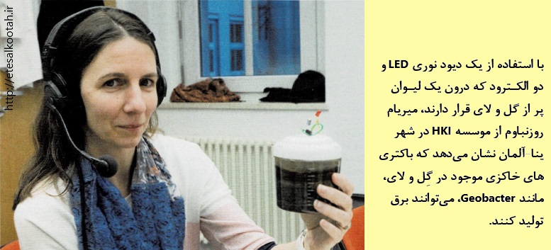 تولید برق از فعالیت باکتری های موجود در گل و لای تولید برق از فعالیت باکتری های موجود در گل و لای